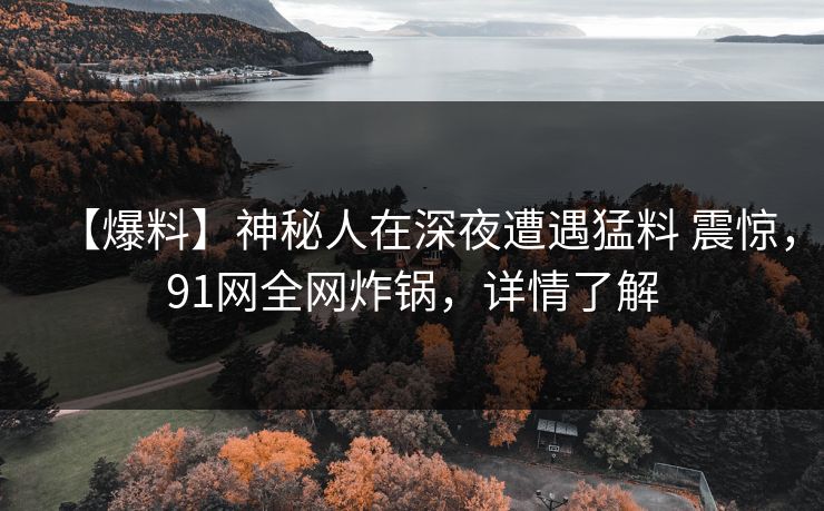 【爆料】神秘人在深夜遭遇猛料 震惊，91网全网炸锅，详情了解
