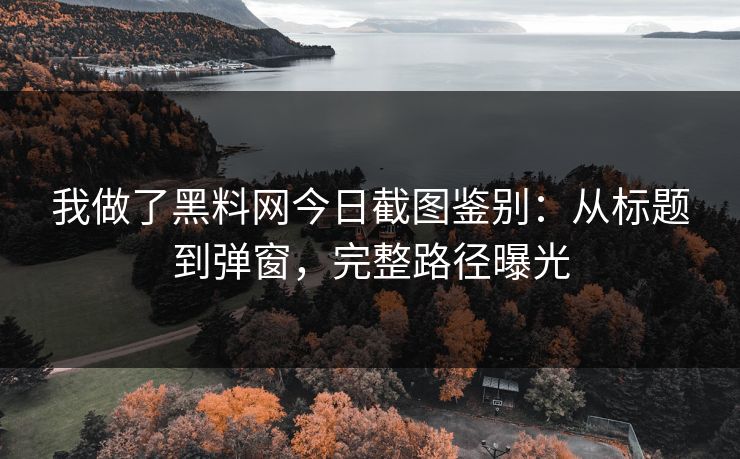 我做了黑料网今日截图鉴别：从标题到弹窗，完整路径曝光